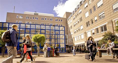 student accommodation groningen|groningen university international students.